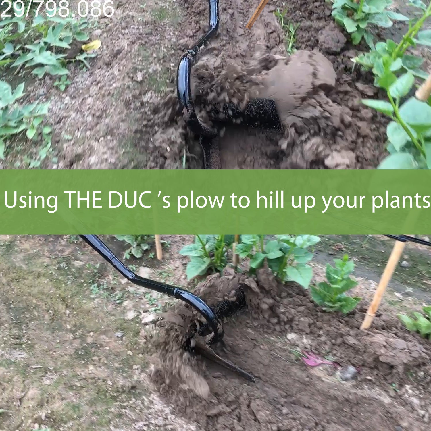 THE DUC's Plow | Hand-Pulled Plow